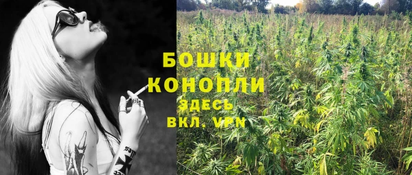 гидра Алексеевка
