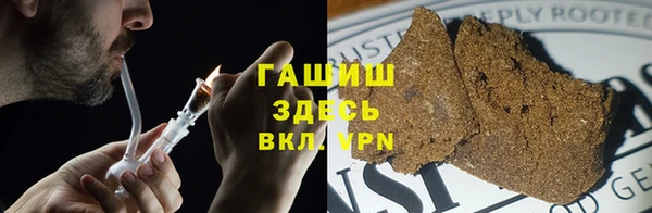 гидра Алексеевка