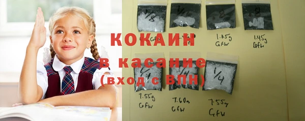 бошки Алексин
