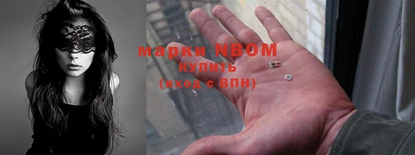 бошки Алексин