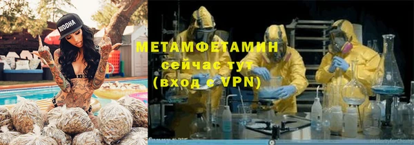 гидра Алексеевка