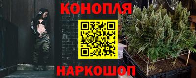 гидропоника Добрянка