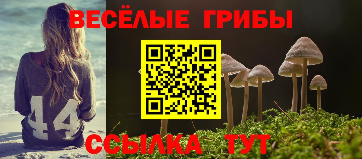 Галлюциногенные грибы MAGIC MUSHROOMS Кондопога