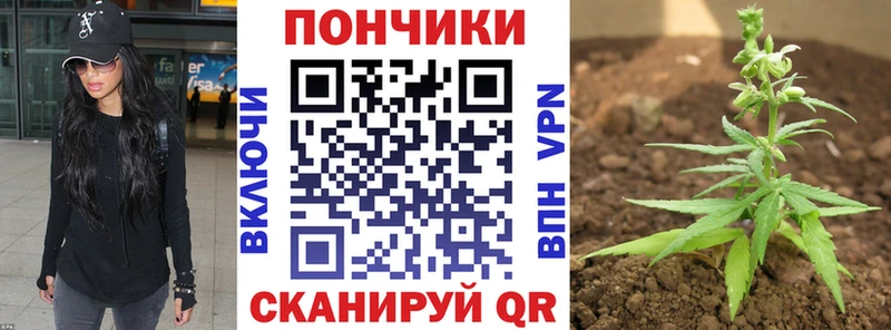 Марихуана MAZAR  дарнет шоп  гидра ссылки  Кондопога 